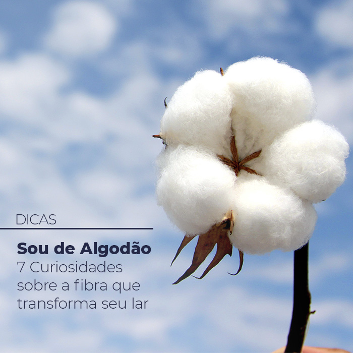 Sou de Algodão